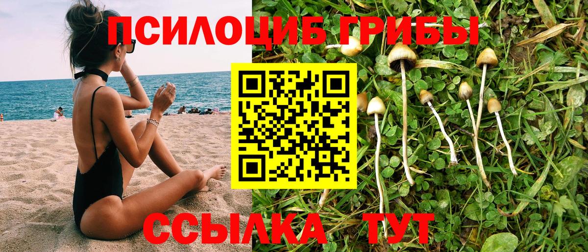 Галлюциногенные грибы прущие грибы  Вход с VPN  Корсаков 