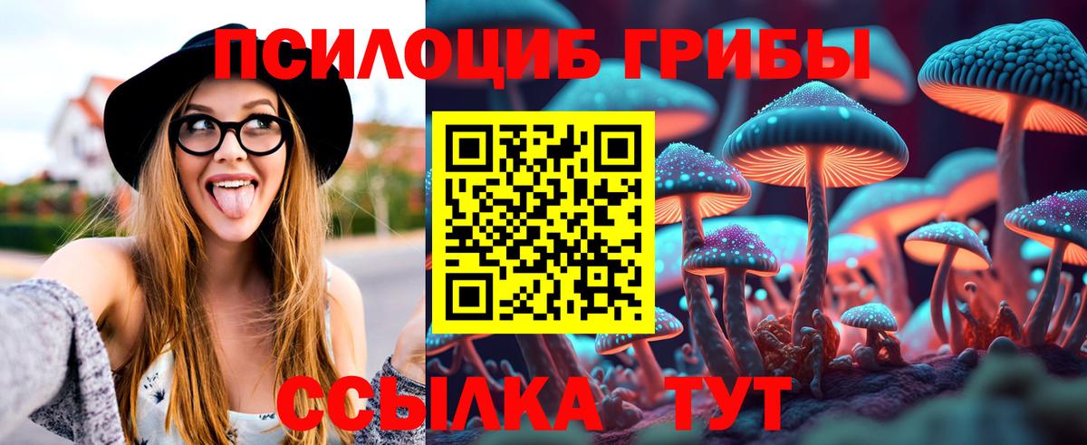 Галлюциногенные грибы мухоморы Корсаков